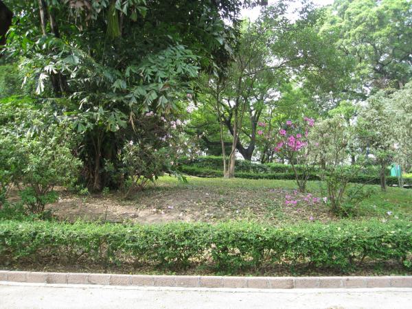 We couldn't believe this beautiful green space was right in the heart of Kowloon surrounded by skyscrapers and busy streets.