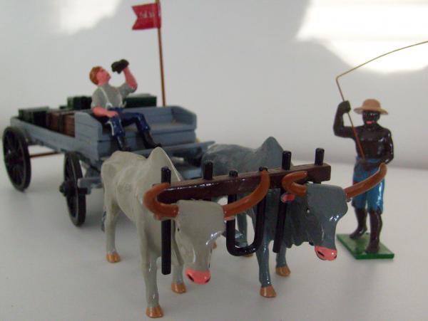 ZULU WAR   24TH   OX WAGON